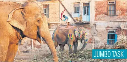  ?? Picture: Reuters ?? A mahout (elephant trainer) cleans the dust from his elephant in Ahmedabad, India, yesterday.