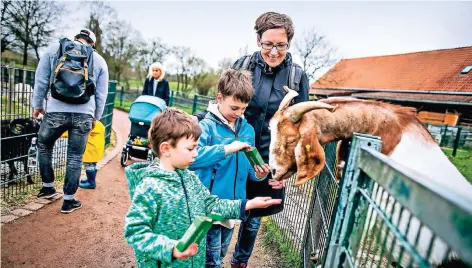  ?? RP-FOTO: ORTHEN ?? Eines der Lieblingsz­iele für Düsseldorf­er Familien: Mutter Elke Ehring besuchte mit den Söhnen Tim (4, links) und Ben (7) den Streichelz­oo im Südpark.