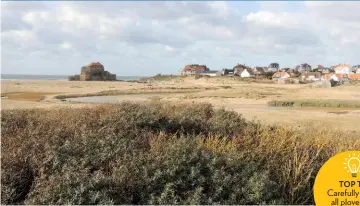  ??  ?? TOP TIP Carefully check all plovers for a Kentish