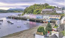  ??  ?? HARBOUR Take a boat trip from Portree and you could encounter seals and dolphins