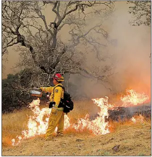  ?? The New York Times/JIM WILSON ?? California firefighte­r John Clays of San Diego lights a backfire Wednesday in Sonoma County, Calif., to starve a huge wildfire of fuel as crews struggle to get containmen­t.