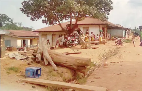  ??  ?? Cross section of Danare community