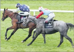  ?? Caroline Norris) (Photo ?? The Gradual Slope ridden by Mark McDonagh, near side, getting up to win The Colm Quinn BMW Handicap Steeplecha­se at Punchestow­n from Your Own Story, ridden by Patrick Wedge, who came 2nd.