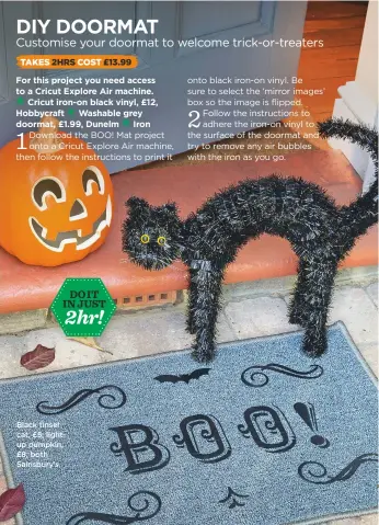  ??  ?? Black tinsel cat, £5; lightup pumpkin, £8, both Sainsbury’s 2hr!