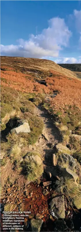  ??  ?? Coppery waters, delicate wildflower­s, fleeting footsteps: signatures of landscapes so different, millions of years in the making. PEAT, CHALK & SAND