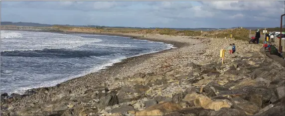  ?? Pic: Donal Hackett. ?? Waiting on the shore at Strandhill last Sunday.