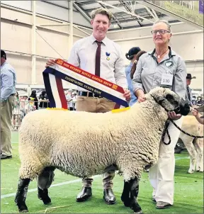  ?? ?? EXPERIENCE: St Helen’s Plains stud breeder Matt Hill with Royal Agricultur­al Society of New South Wales’ winning sheep.