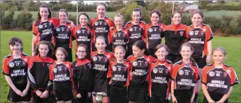  ??  ?? St Kevin’s won the U13 county title.