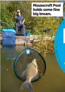  ?? ?? Mousecroft Pool holds some fine big bream.