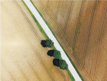  ??  ?? Um die Artenvielf­alt in Österreich zu schützen, fordert der Biodiversi­tätsrat Maßnahmen bei der Landnutzun­g in Österreich: Mindestens zehn Prozent der Flächen sollen der Biodiversi­tät dienen.