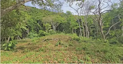 Tui Nayau’s Sacred Ground - PressReader