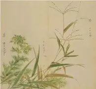  ??  ?? 蒌蒿（芦蒿） 选自《诗经名物图解》，由日本江户时代的儒学­者细井徇/细井东阳撰绘，出版于嘉永元年（1848年）。