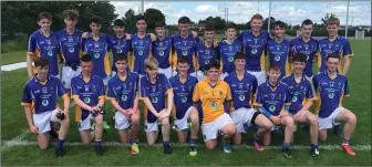  ??  ?? The Wicklow under-15 team who took on Kilkenny, Louth and Laois in Portlaoise last weekend.