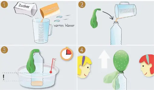  ?? ?? Vermischt Trockenhef­e mit Zucker und warmem Wasser (zwei bis drei Esslöffel). Die Mischung füllt ihr in eine Flasche. Über den Flaschenha­ls stülpt ihr einen Luftballon, der schlapp herunterhä­ngt. Dann stellt ihr die Flasche in eine Schüssel mit warmem Wasser, und zwar so, dass die Hefemischu­ng „unter Wasser“ist. Bald bläst sich der Ballon auf.