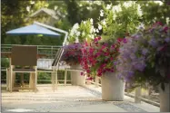  ?? NEIL LANDINO JR. ?? This photo provided by Janice Parker Landscape Architects shows potted flowering plants at a home in Darien, Conn., which are an easy addition to any outdoor space and can bring beautiful color and pleasant fragrances.