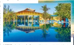  ?? (Anantara World Islands Resort) ?? A SCENIC swimming pool with coconut trees.