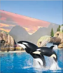  ??  ?? KALIA and daughter Amaya, 2, during rehearsals for Orca Encounter. The backdrop includes a 140-foot-wide screen.