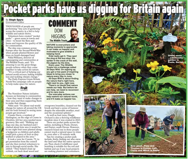  ?? ?? Urban oasis ...community garden in Poole, Dorset