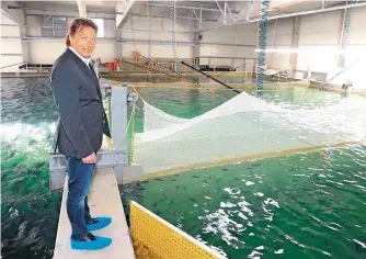  ?? FOTO: B&B ?? Fischzucht-Manager Peter Zeller vor Becken mit jungem und ausgewachs­enem Kingfish.