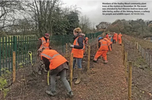  ?? NETWORK RAIL. ?? Members of the Hadley Wood community plant trees at the station on November 28. The event was attended by Rail Minister Andrew Jones and John Varley, author of the Valuing Nature,a railway for people and wildlife report.