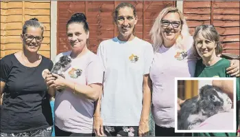  ?? Pictures: Mike Cooter (200721/200721) ?? HEALING HANDS Caz Taylor, Michelle Lawson with Duke, Vanessa Taylor, Louise Sheehan and Kim Bray at South Coast Rabbit Rescue. Inset: Duke enjoys a cuddle