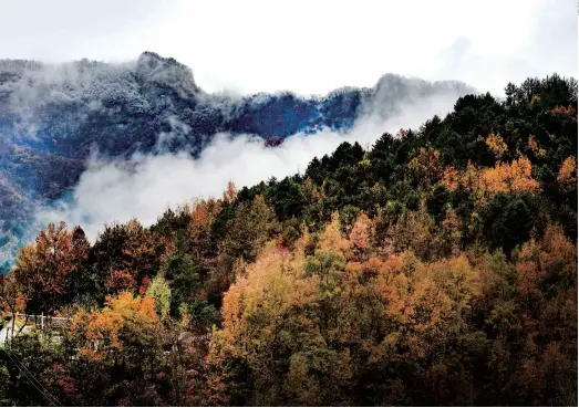  ??  ?? A colorful scenic view of the Qinling Mountains on November 5, 2018