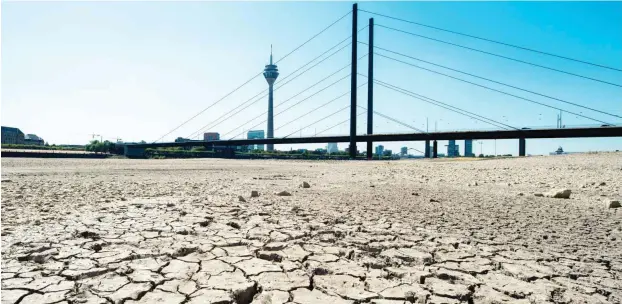  ?? Foto: dpa/Christophe Gateau ?? Sommer 2018: das Flussbett des Rheins bei Düsseldorf