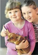  ??  ?? Kayla (left) and Claire Dale with their chihuahua x foxy, Honey.
