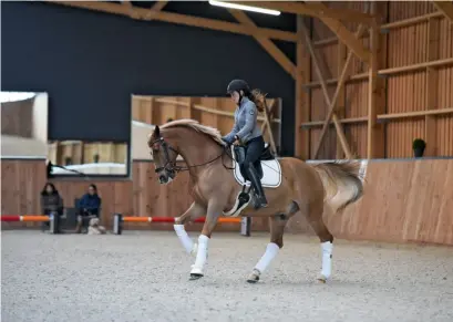  ??  ?? Travail du contact pour Claudia et Jetlag de Massa, un cheval issu de l’élevage avec lequel travaille AnneSophie Serre.