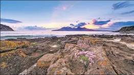  ?? ?? Eigg 2 Sea Thrift
Second place set by Eddie Middleton
The Organist