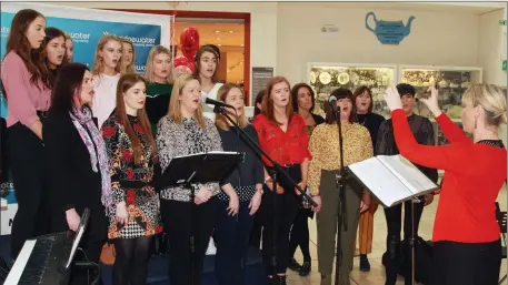  ?? PHOTOS BY GER LEACY ?? The Suantrai choir performing at the Arklow Music and Arts showcase at the Bridgewate­r Shopping Centre.
