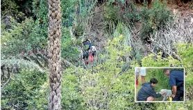  ?? PHOTOS: TERESA RAMSEY/STUFF ?? Firefighte­r Billy Turner, pictured left, puts a harness on Bear.
Inset: Bear gets a pat from his rescuers, Krissy Walton and Tairua firefighte­r Billy Turner.