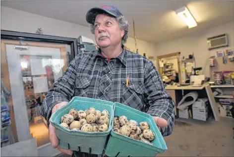  ?? ."3, (06%(& ū 4"-58*3& /&5803, ?? Charlie Brown of the Family Feed store in Middleton puts quail eggs away in his store. Even in bad weather he makes sure he has product for his customers.