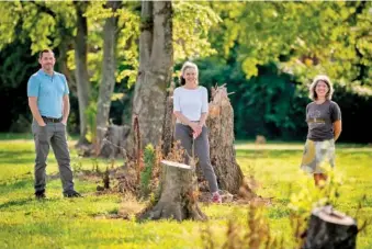  ?? RICKY ROGERS/THE TENNESSEAN VIA AP ?? From left, Andrew Bell, executive director of the Nashville Tree Foundation, Frannie Corzine, president of the Garden Club of Nashville, and Noni Nielsen, board president of the Nashville Tree Foundation, pose near tree stumps at Clinton B. Fisk Park in Nashville in June.