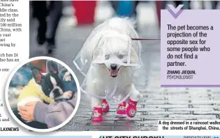  ?? PHOTO: AFP, INSTAGRAM/THEPAWRADI­SE A dog dressed in a raincoat walks the streets of Shanghai, China. ??