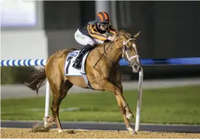  ?? Erika Rasmussen ?? Rayya is a contender for the UAE 1,000 Guineas, said her handler, after Pat Dobbs, left, had a comfortabl­e ride home with the filly at the Meydan Racecourse