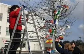  ??  ?? (Above) Principal Judy Uí Ifearnáin decorates the Crann Corona at Gaelscoil Inis Córthaidh assited by Jennice Murphy-Harris and Charles Piecyk. (Right) Aine Uí Ifearnáin decorating the tree.