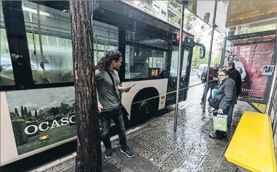  ?? CÉSAR RANGEL ?? Sobre el terreno.Un inspector comprueba si un árbol puede entorpecer el acceso al autobús