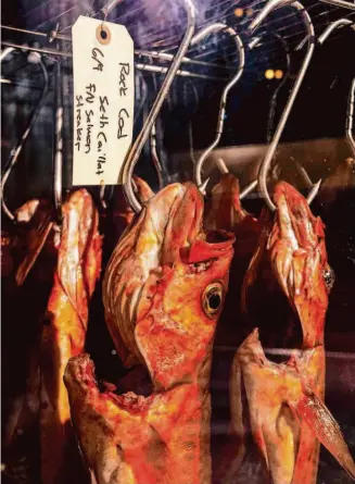  ?? Photos by Stephen Lam/The Chronicle ?? Vermillion rock cods, caught in Bodega Bay, hang inside a dry ager at Aphotic.