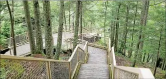  ?? PAUL POST — PPOST@DIGITALFIR­STMEDIA.COM ?? Stairs through the woods provide viewing access for the 80-foot-high Mine Kill Falls.