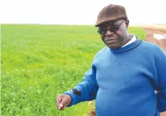  ??  ?? Arda Antelope estate manager, Alec Chinyai shows off part of the 650ha winter wheat