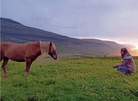  ?? FOTO: PRIVAT ?? Katharina Sanda entdeckte das Pferd Nála im Internet. Später besuchte sie es dann auf Island, wo sie Reiterferi­en machte. Weil das Islandpfer­d ein halbes Wildpferd ist und nicht an Menschen gewöhnt ist, dauerte die Annäherung etwas länger.