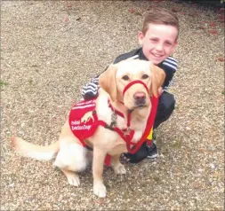  ?? FM4837759 ?? Jack Hales and detection dog Dottie, who alerts the family if his blood sugar gets too high or too low