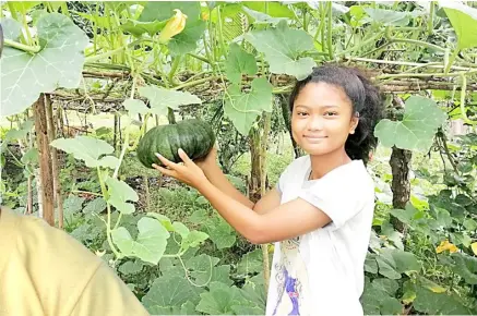  ??  ?? FOURTEEN-year-old Karie getting her first harvest at the family’s backyard garden.