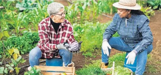  ?? Photos courtesy of Content That Works ?? Adaptive gardening enables seniors to continue pursuing their horticultu­ral hobby.