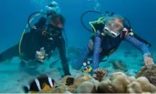  ??  ?? Sven-Olof Lindblad, left, CEO of the ecotourism company Lindblad Expedition­s, visits with some of the local fish off the Seychelles.