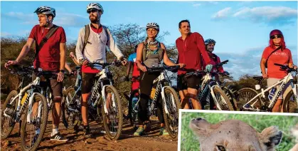  ??  ?? TRAILBLAZE­RS: Cycle Tanzania riders on their tour. Right: Cyclists in the country will also get the chance to spot a lion
