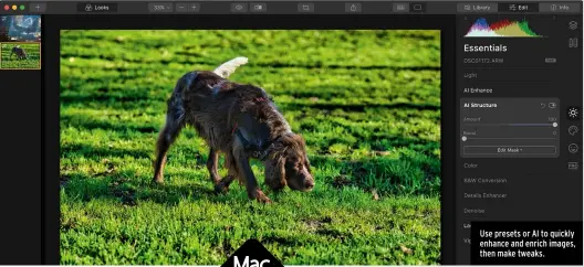  ??  ?? Use presets or AI to quickly enhance and enrich images, then make tweaks.