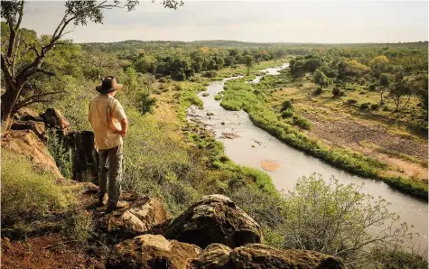  ??  ?? Guide and event organiser Johan Kriek looks for a safe place where the convoy can cross the Luvuvhu River