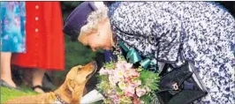  ?? AP 1998 ?? The corgis have helped to humanize Queen Elizabeth II, who has been viewed as distant.